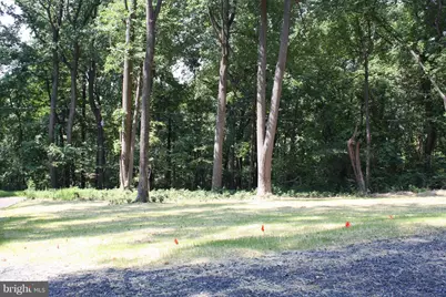 Riley - Lot 51A Court, Front Royal, VA 22630 - Photo 10