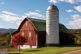 461 Thunderbird Rd, Bentonville, VA 22610 - Photo 6