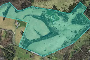 461 Thunderbird Rd, Bentonville, VA 22610 - Photo 14