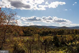 461 Thunderbird Rd, Bentonville, VA 22610 - Photo 12