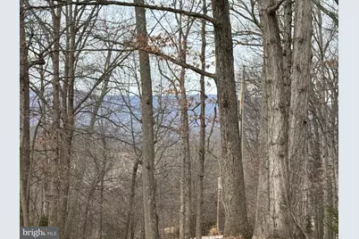 487 Skyline Forest Drive, Front Royal, VA 22630 - Photo 8
