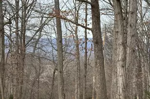 487 Skyline Forest Dr, Front Royal, VA 22630 - Photo 8