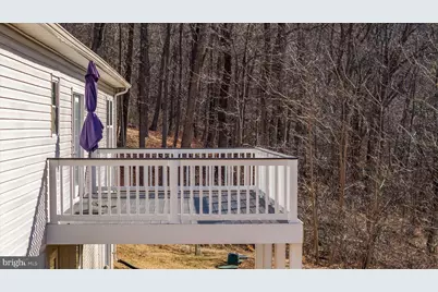 145 Tulip Poplar Drive, Linden, VA 22642 - Photo 32