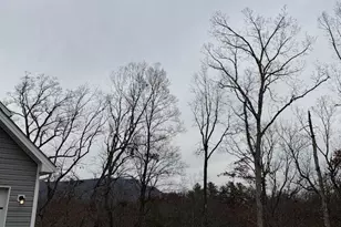 41 Aluna Dr, Front Royal, VA 22630 - Photo 20