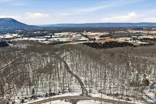 690 Comforter Ln, Middletown, VA 22645 - Photo 122