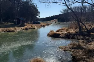 690 Comforter Ln, Middletown, VA 22645 - Photo 108