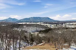 690 Comforter Ln, Middletown, VA 22645 - Photo 80