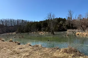 690 Comforter Ln, Middletown, VA 22645 - Photo 108