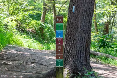 79 Bentonville Road, Bentonville, VA 22610 - Photo 38