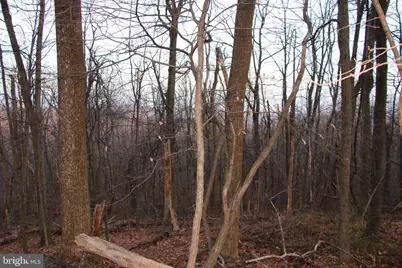 Windy Way, Front Royal, VA 22630 - Photo 6