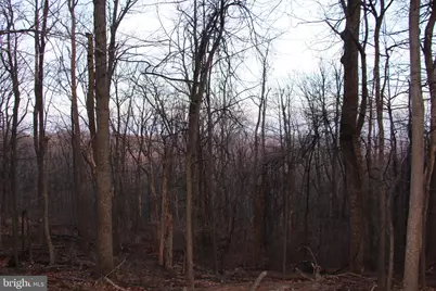 Windy Way, Front Royal, VA 22630 - Photo 1