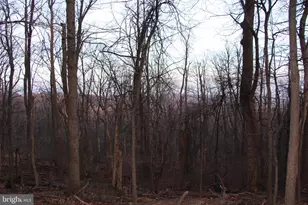 Windy Way, Front Royal, VA 22630 - Photo 1