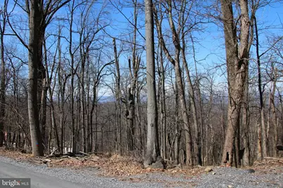 Windy Way, Front Royal, VA 22630 - Photo 6