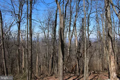 Windy Way, Front Royal, VA 22630 - Photo 4