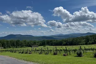 215 Buck Rd, Linden, VA 22642 - Photo 42