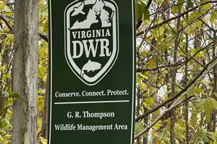 215 Buck Rd, Linden, VA 22642 - Photo 44