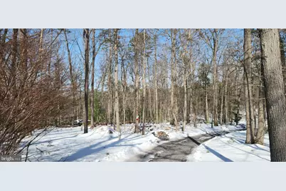 0 Dogwood Lane, Bentonville, VA 22610 - Photo 2