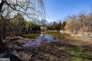 903 Rocky Hollow Rd, Bentonville, VA 22610 - Photo 70