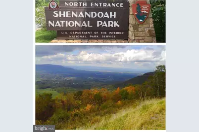 402 Bluebird Way, Front Royal, VA 22630 - Photo 54