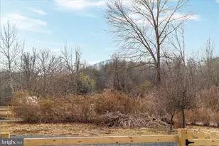 5655 Strasburg Rd, Strasburg, VA 22657 - Photo 48