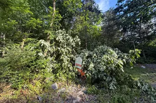 Lot 19 River Bluff Dr, Front Royal, VA 22630 - Photo 1