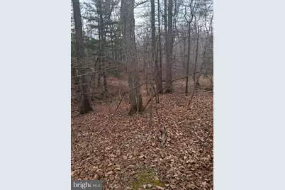 Vesey Drive, Front Royal, VA 22630 - Photo 2