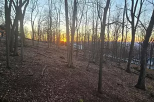 59 Alpine Dr, Front Royal, VA 22630 - Photo 8