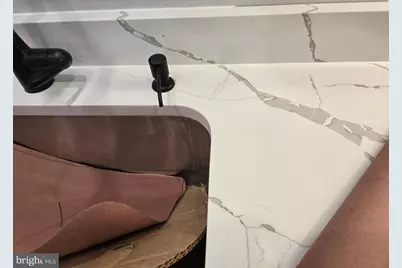 Dogwood Farm, Front Royal, VA 22630 - Photo 44