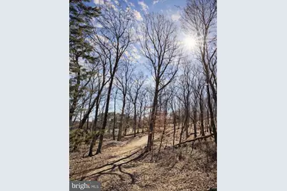 0 Messick Road, Strasburg, VA 22657 - Photo 6