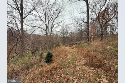 521 Northern Spy Drive, Linden, VA 22642 - Photo 24