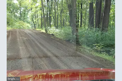 316 Judy Lane, Front Royal, VA 22630 - Photo 66