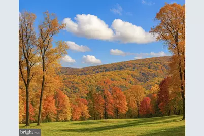 5 Lee Drive, Linden, VA 22642 - Photo 2