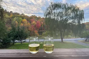 194 Venus Branch Rd, Front Royal, VA 22630 - Photo 18