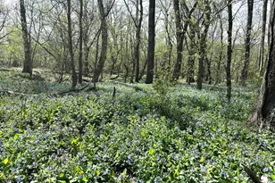 541 Youngs Dr, Front Royal, VA 22630 - Photo 38