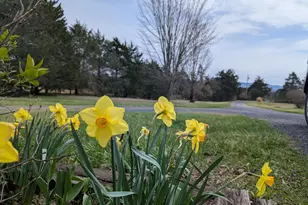 165 Wilson Burke Rd, Front Royal, VA 22630 - Photo 4