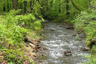 1131 Gooney Manor Loop, Bentonville, VA 22610 - Photo 46