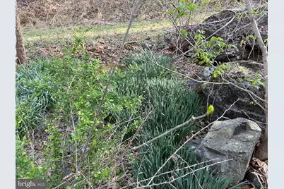 Lot 1-9 Dragons Road, Linden, VA 22642 - Photo 6