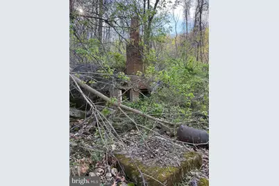 Lot 1-9 Dragons Road, Linden, VA 22642 - Photo 4