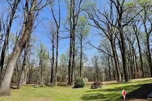 49 Pocahontas Rd, Front Royal, VA 22630 - Photo 28