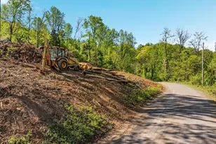 Susan's - Lot 24A, Front Royal, VA 22630 - Photo 58