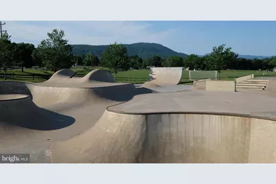 104 Wesley Lane, Browntown, VA 22610 - Photo 108