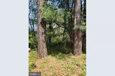 Happy Creek Road, Front Royal, VA 22630 - Photo 20