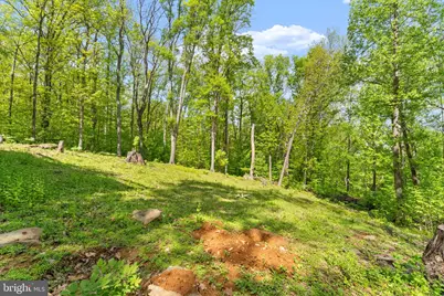 293 Old Sawmill Road, Front Royal, VA 22630 - Photo 46