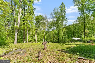 293 Old Sawmill Road, Front Royal, VA 22630 - Photo 46