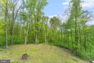 293 Old Sawmill Rd, Front Royal, VA 22630 - Photo 46
