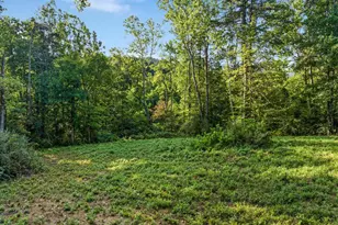 A4 Gooney Manor Loop, Bentonville, VA 22610 - Photo 48