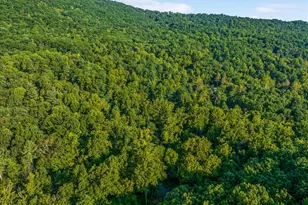 A4 Gooney Manor Loop, Bentonville, VA 22610 - Photo 58