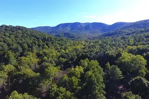 A4 Gooney Manor Loop, Bentonville, VA 22610 - Photo 60