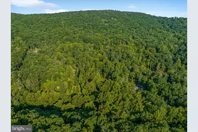 A4 Gooney Manor Loop, Bentonville, VA 22610 - Photo 56