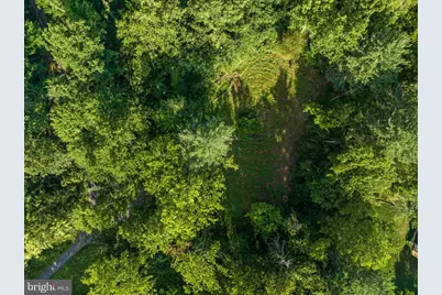 A4 Gooney Manor Loop, Bentonville, VA 22610 - Photo 52